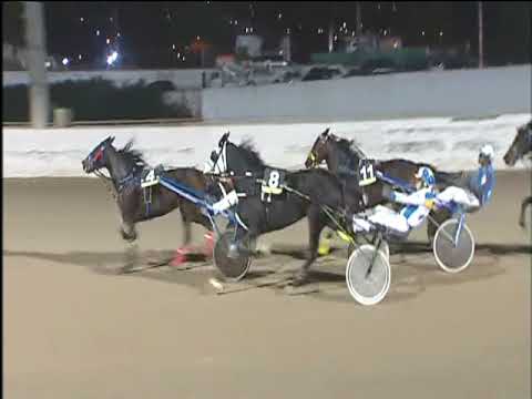 Trotto 12/11/2017 - 8ª corsa