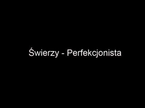 Świerzy - Perfekcjonista