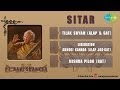 Pandit Ravi Shankar Monument of Strings | Hindustani Classical Audio Jukebox | Sitar