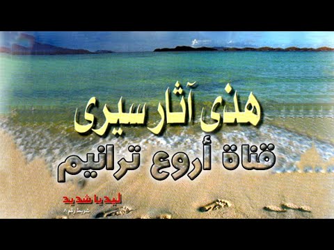 ترنيمة يا سيدى الحبيب .. ترانيم ليديا شديد