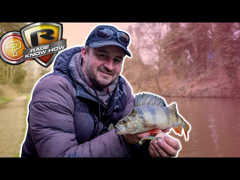 Learn how to find and catch canal perch with Kev Cox | Lure fishing soft plastics and hardbaits