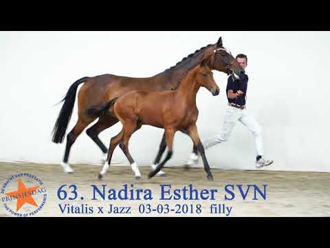 63 Nadira Esther SVN v. Vitalis x Jazz www.prinsjesdag.eu