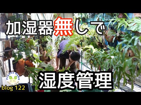 鉢内の湿度を保つにはどうすればいいですか？植物を熱波から守るための 5 つ以上のソリューション!  庭園