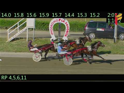 VI Corsa del 18 Maggio 2022 - 3 Anni - Metri 1600