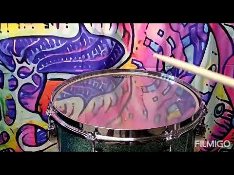 14" Drum Head Comparison Evans & Remo