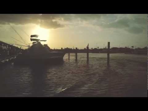 Volta Bureau - Alley Cat