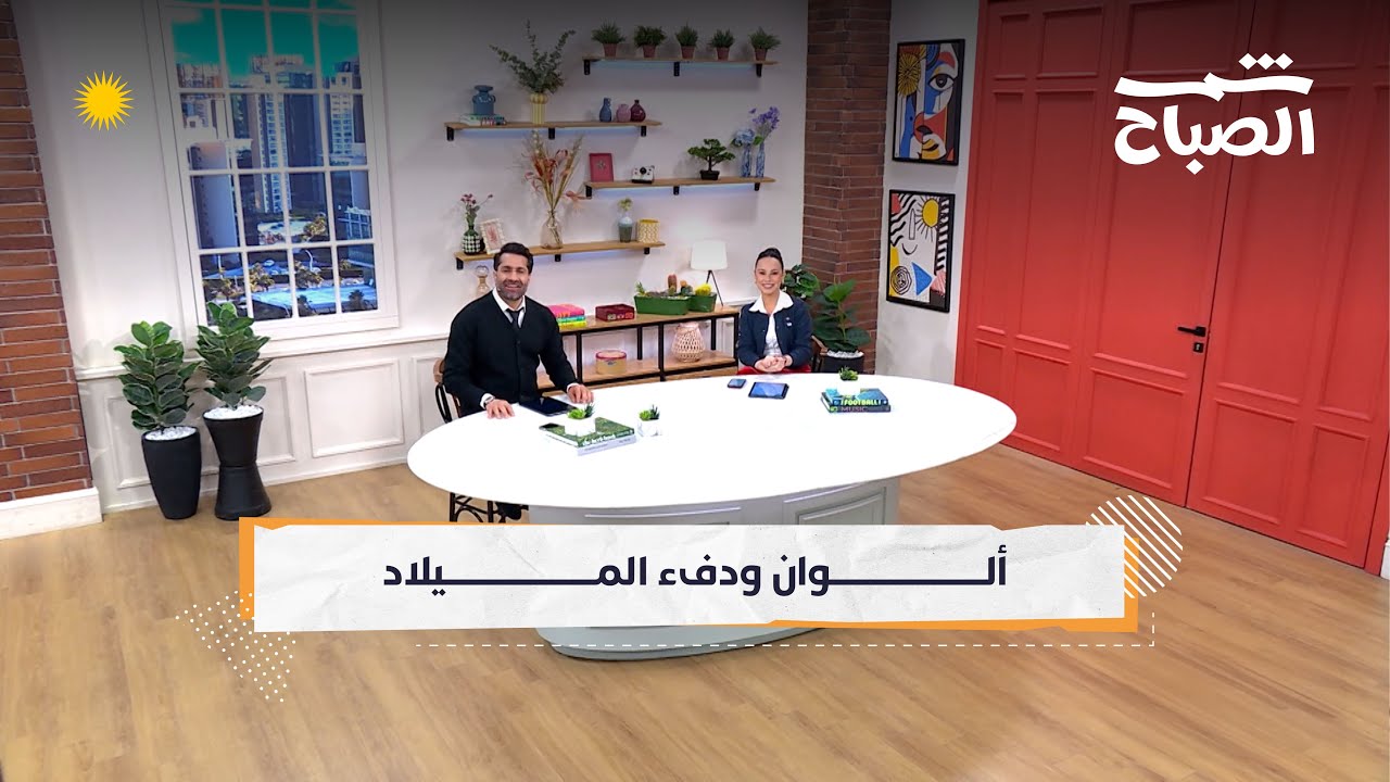 فيديو | شمس الصباح | ألوان الطبيعة والميلاد.. من الأزاليا إلى شوارع أربيل