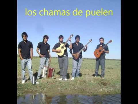 los chamas galopando