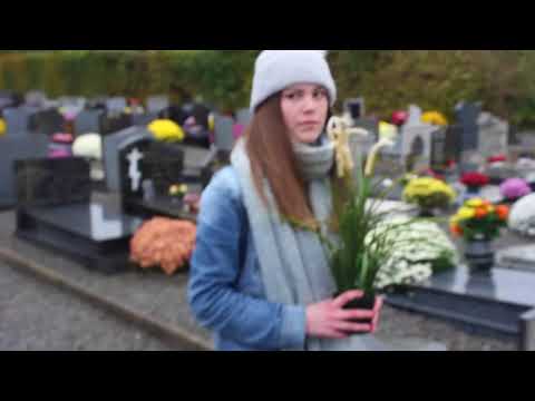 Boektrailer Verwoest