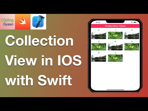 Create Collection View for Beginners  - 2022 iOS Development ?