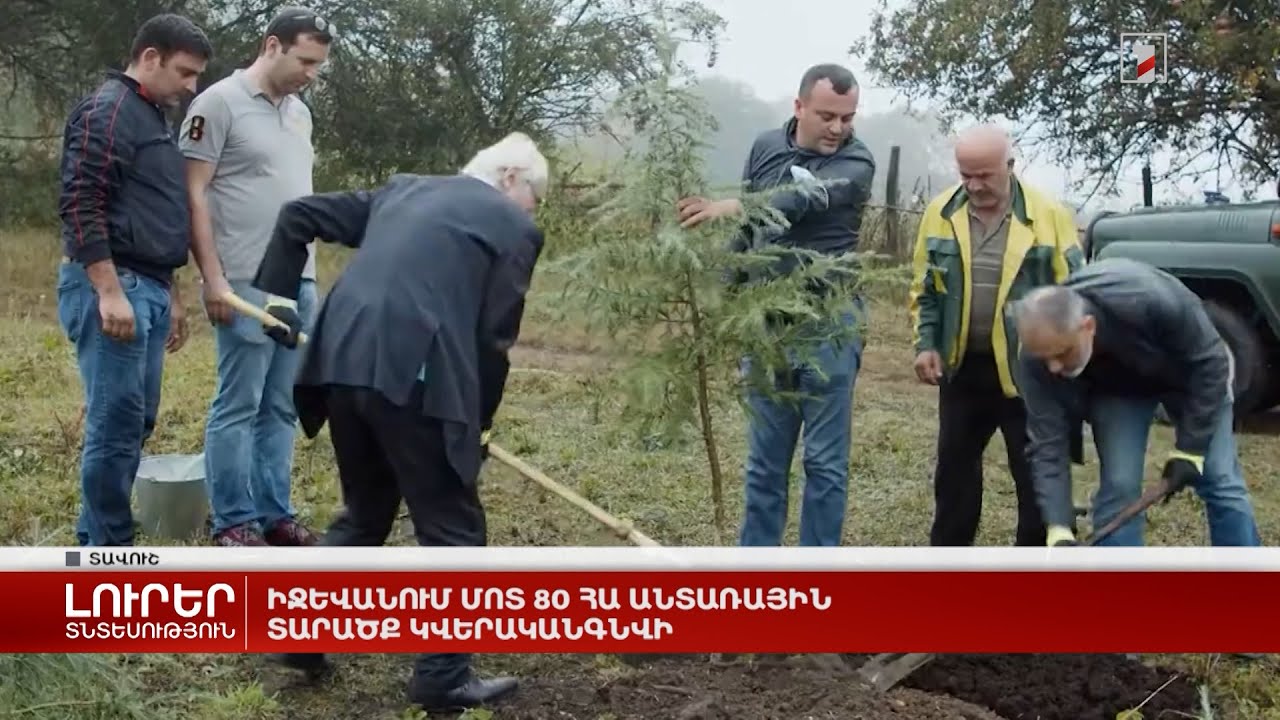 Իջևանում մոտ 80 հա անտառային տարածք կվերականգնվի