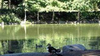 "Beautiful Lili" (Tim Hagans)