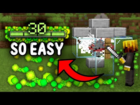 EASIEST XP Farm Minecraft Java 1.21+!