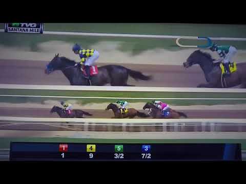 SANTANA MILE ( G STAKES) 3/31/18 - DR DORR !!