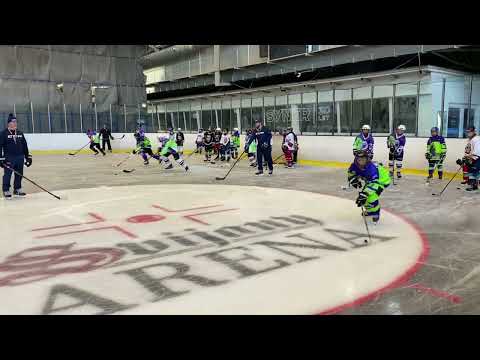 Camp Hockey Way Liberec. 1 day