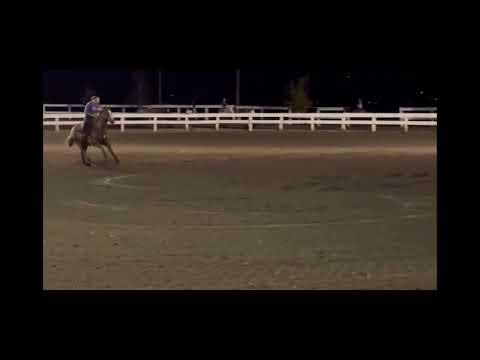 Benton Franklin Fairgrounds 4-H arena video thumbnail