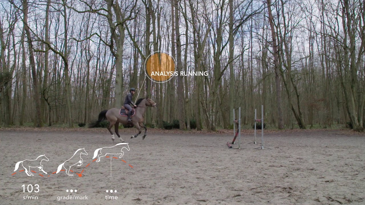 Equisense Motion S for Show Jumping