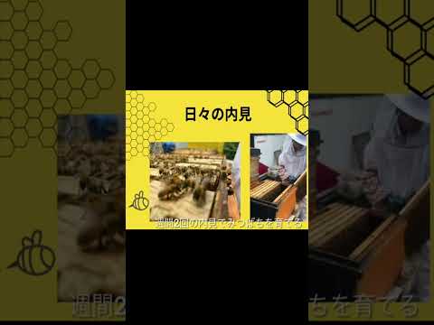 商学科 聖学院中学校高等学校ショートムービー