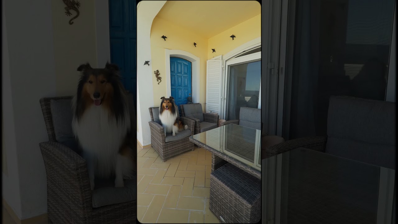 Vídeo do imóvel