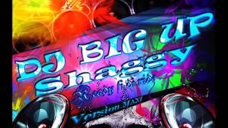 DJ Big Up X Shaggy - Ready fi di ride (Remix)