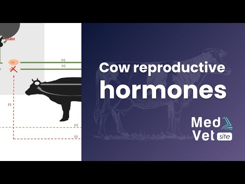 , title : 'COW REPRODUCTIVE HORMONES'