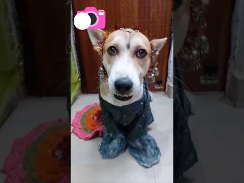 very beautiful 😍😍 pic