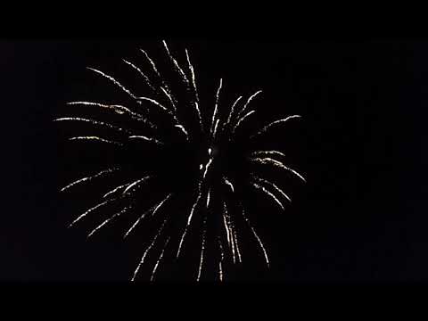 62mm Dominator Pro  PFX62BB-BRO