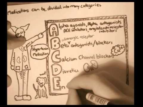 Nociceptors An Introduction to Pain