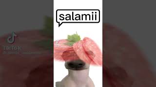 Download lagu Salami Go Go Go Go Go Go Go mp3