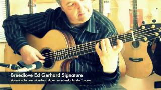 Breedlove Guitars Ed Gerhard Signature_play Italo Iovane