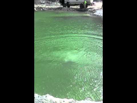 Wolex d+p con Wilson López