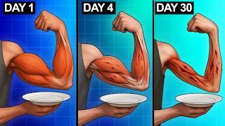 What Happens to Muscle When You Stop Eating