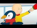 Caillou Y El Patinaje Sobre Hielo Caillou En Español Castellano