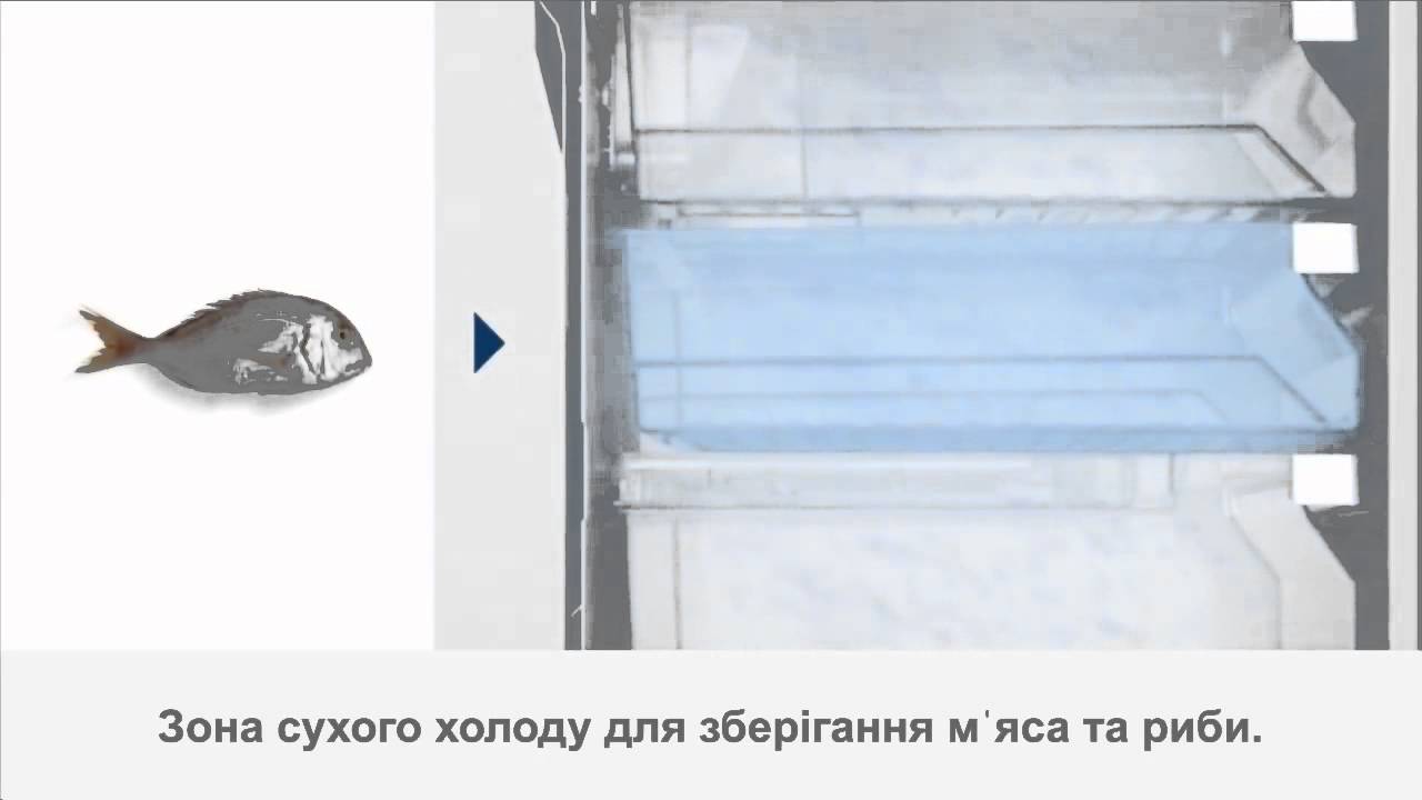 Двокамерний холодильник BOSCH KGN49XL306 video preview