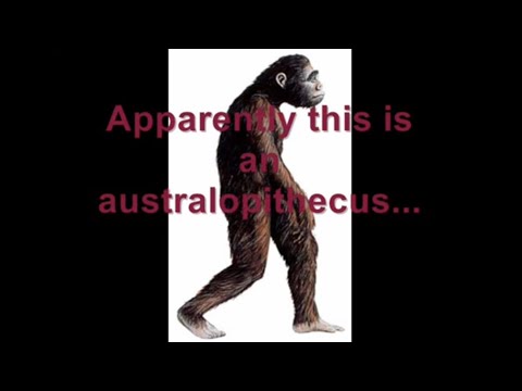 Gutsick Gibbon and Forrest Valkai Discuss “Human Chromosome 2 Fusion” | With Richard Samson of SSFL