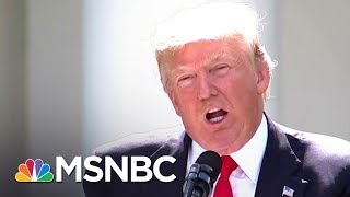 This Is Your Brain On Donald Trump | The Beat With Ari Melber | MSNBC