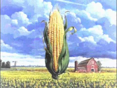 Konjska Surla - Kukuruza Bluza