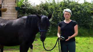 Video as part of University of Derby MOOC!