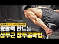 강력한 왕팔뚝을 만드는 효과적인 삼두근 운동방법