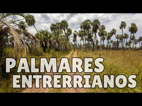 Pasando por la zona del Arroyo El Palmar | Ubajay - Entre Ríos