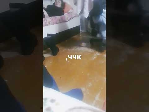 10 января 2024 г.