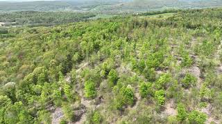 80 Acres in Greene NY - Chenango County