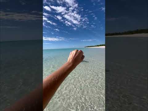 ➡ ✈ ☀ Direção Ouvéa 💙 _____@anaellechretienoff & @stevenlqr