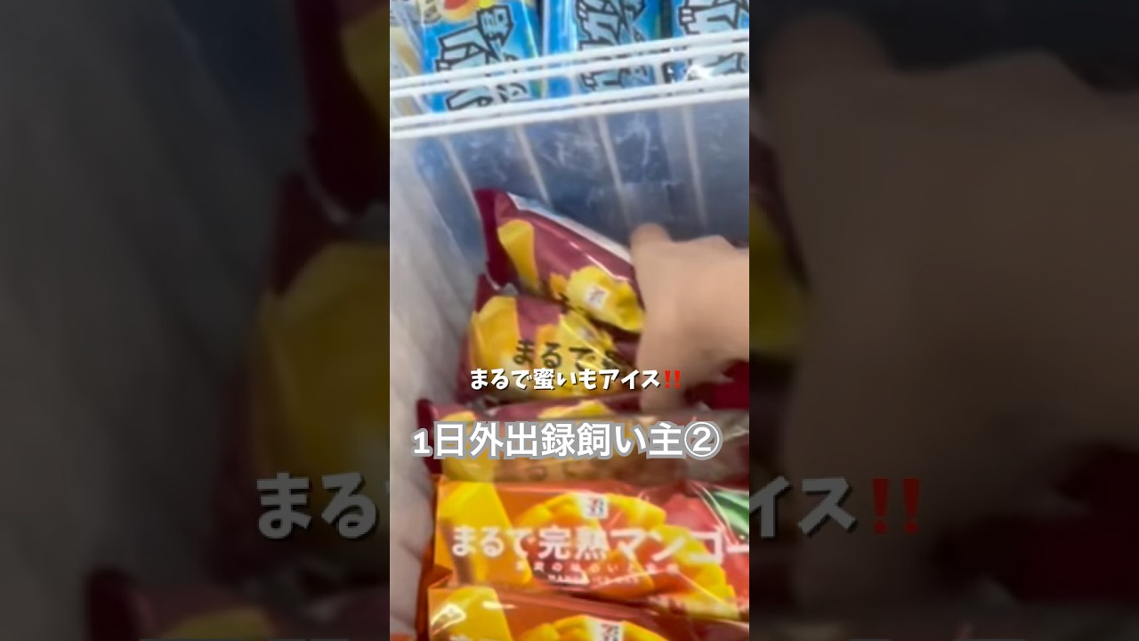 1日外出録飼い主②今年の焼き芋アイスも楽しみだなぁ〜！