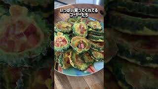 アメリカでゴーヤー栽培。#アメリカ在住 #アメリカ生活 #ゴーヤー #shorts