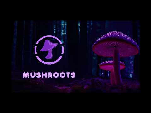Mushroots youtube-video