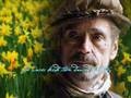 "Daffodils" read by Jeremy Irons 