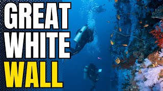Scuba Diving The GREAT WHITE WALL In Fiji 🇫🇯