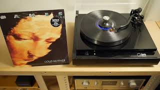 James - You can't tell how much suffering (on a face that's always smiling) Vinylrip