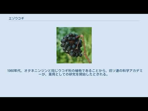 エゾウコギ科 - 定義